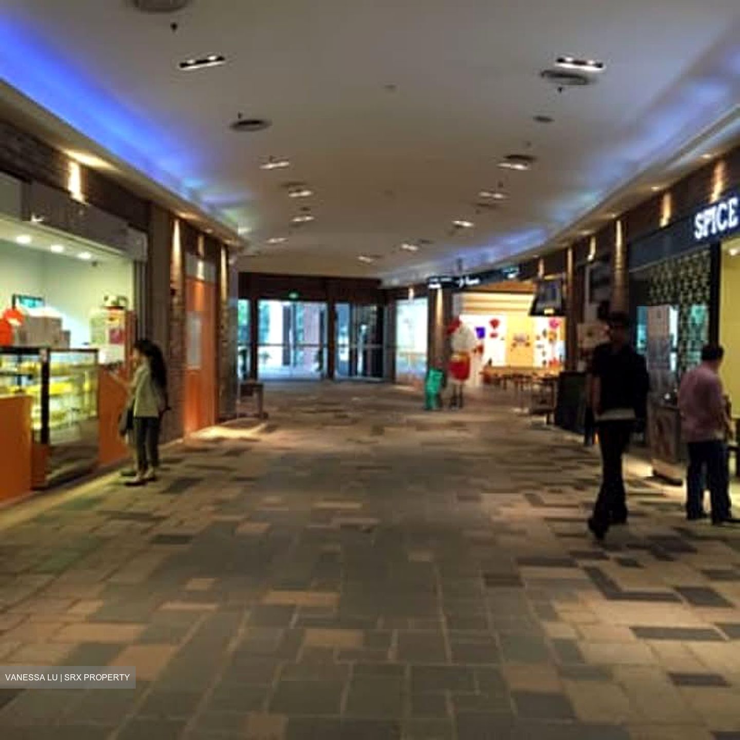 Icon Village (D2), Shop House #570063501